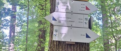 Pod Zwierzyńcem