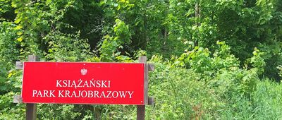 Staw Poleśnicki II