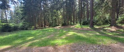 Odejście ścieżki spacerowej