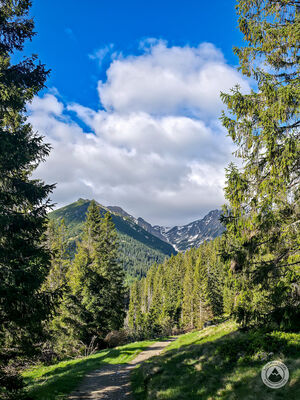 Widok na Tatry Wysokie spod Rusinowej Polany