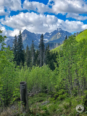 Tatry Wysokie z czarnego szlaku pod Wołoszynem