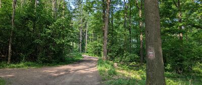 Rozdroże nad Jeżycą ↔ Nieziemski Widok [Nowe ścieżki w Parku Krajobrazowym Chełmy]