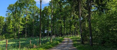 Rozdroże nad Jeżycą