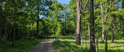 Rozdroże nad Jeżycą ↔ Rozejście szlaków