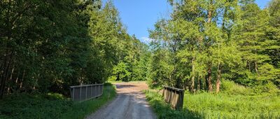 Raczyce, skrzyżowanie szlaków niebieski / zielony