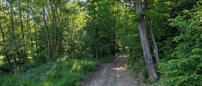 Zamkowa