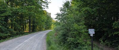 Las Świniec