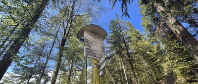 Przełęcz Bory Orawskie