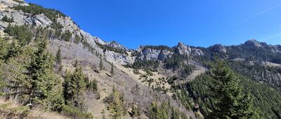 Veľké Biele pleso ↔ Chata Plesnivec, źródełko