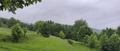 Ścieżka do pomnika Jiříego Třanovskiego ↔ Pod Wielką Czantorią [Aura deszczowa, czyż nie? Na zdjęciu tego nie widać, ale pada. Momentami nawet bardzo.]