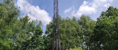 Wilcze
