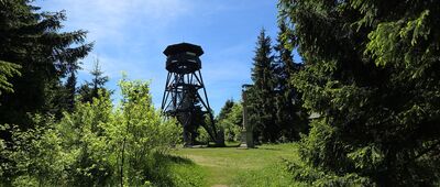 Anenský vrch [Góry Orlickie - Anieński Wierzch (cz.Anenský vrch) 992 mn.p.m]
