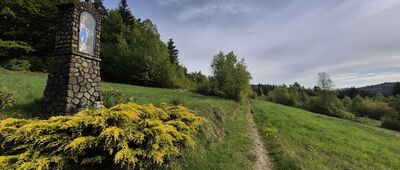 Lubień ↔ Trzy Kopce [Kapliczka na polanie pod Łopuszne]