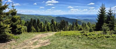 Bukowina Miejska ↔ Wisielakówka [Pieniny i Jezioro Czorsztyńskie spod Wisielakówki - żółty szlak]