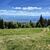 Tatry z polany pod szczytem Bukowiny Obidowskiej