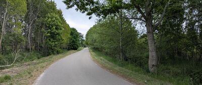 Przybrzeże ↔ Sarbsk [Bardzo długi fragment szlaku stanowią chodniki i asfalt]