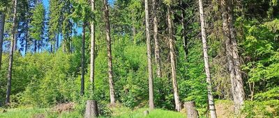 Przejście graniczne Zdoňov / Łączna ↔ Rajska Dolina