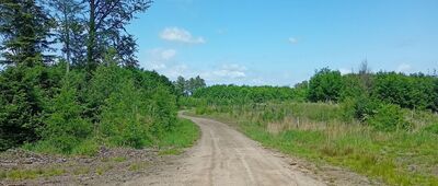 Skrzyżowanie nad jeziorem