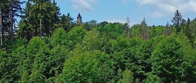 Jezioro Bystrzyckie, most ↔ Platforma widokowa