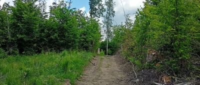 Jezioro Bystrzyckie, zapora ↔ Rozdroże pod Przygrodną
