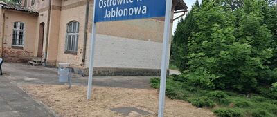 Płowężek ↔ Ostrowite, stacja kolejowa