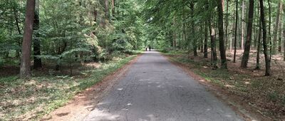 Niskie Brodno ↔ Skrzyżowanie szlaków