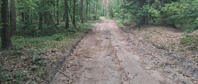Kurzętnik, Nowe Osiedle ↔ Szramowo