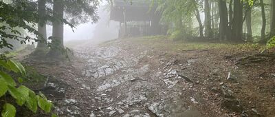 Schronisko PTTK na Luboniu Wielkim ↔ Pod Luboniem