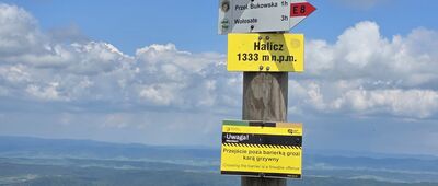 Halicz