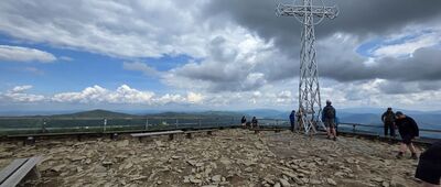 Tarnica