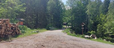 Karpacz, Szeroki Most [Szeroki Most, wschodnia strona]