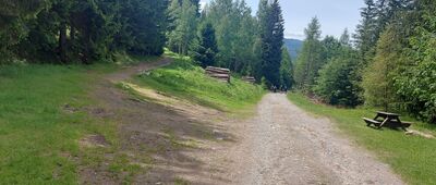 Tabaczana Ścieżka [Tabaczana Ścieżka, widok schodząc zielonym szlakiem]
