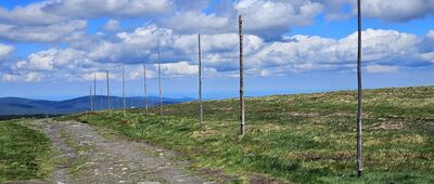 Vysoká hole ↔ Nad Ovčárnou