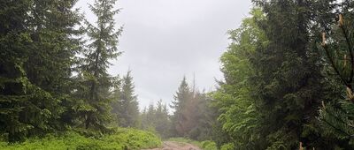 Przełęcz Salmopolska ↔ Malinów