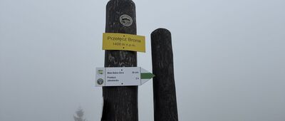 Przełęcz Brona