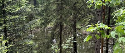 Przełęcz Krowiarki ↔ Mokry Stawek, rozejście