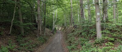 Laskówka, Górna Wieś ↔ Laskówka, Dział