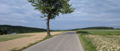 Kopce ↔ Mechowa Góra