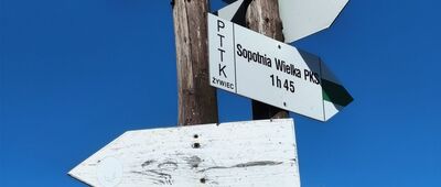 Hala Miziowa, skrzyżowanie szlaków [Checkpoint]