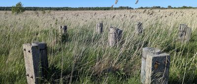 Odejście ścieżki edukacyjnej ↔ Przepompownia na kanale Gardno-Łebsko [Gardnieńskie Łęgi]