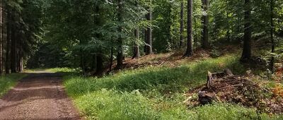 Kuźnice Świdnickie, ul. Sportowa, przejazd kolejowy ↔ Kuźnice Świdnickie, ul. Wincentego Pola