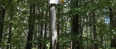 Rozejście szlaków