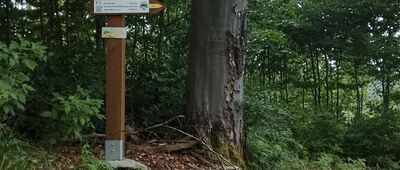 Rozejście pod Stachoniem