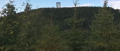 Pod Sokółką ↔ Przełęcz Polanka