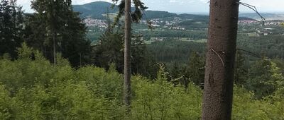 Rozejście szlaków ↔ Pod Dzikowcem