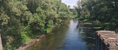 Żurawia Kępa, rozejście szlaków ↔ Świecie, ul. Wodna