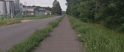 Świecie, dworzec autobusowy ↔ Kozłowo