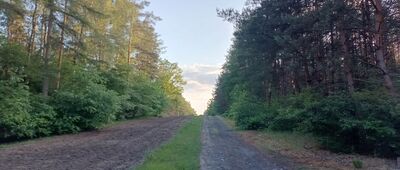Rozejście szlaków czerwony / czarny