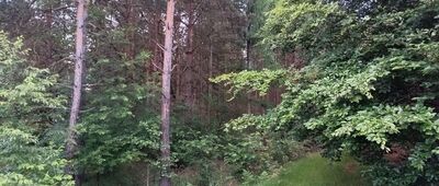 Rozejście szlaków czerwony / czarny ↔ Rozejście szlaków
