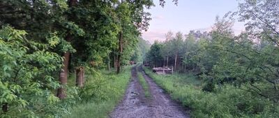 Skrzyżowanie szlaków ↔ Rozejście szlaków czerwony / czarny